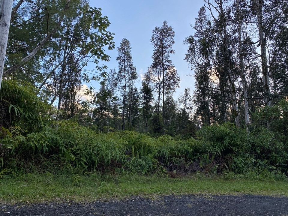 2nd image of Lahaina Rd Lot 453