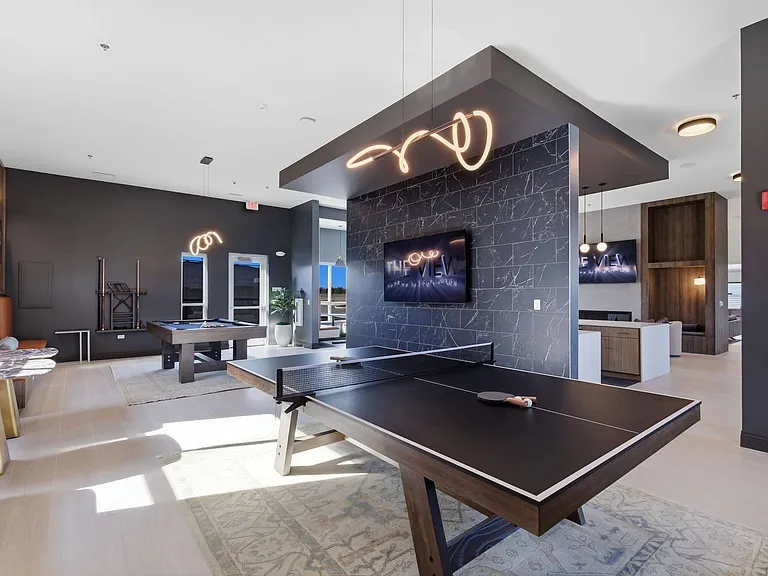 Game Lounge and Ping Pong Table