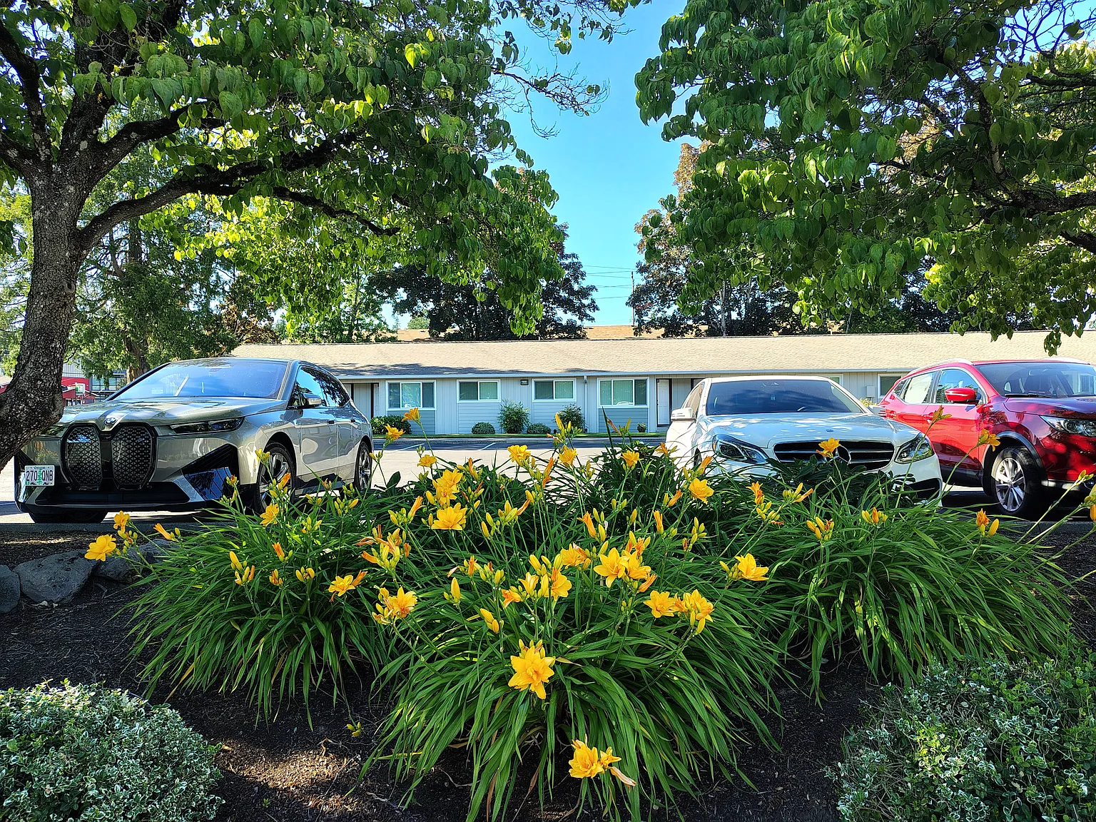 1 bed, 690 sqft, $1,450 — Photo 3