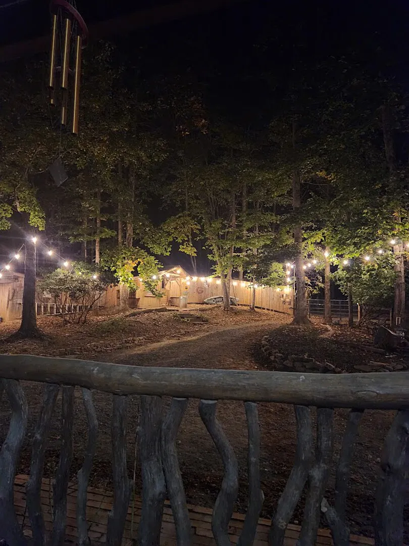 Dragonfly Glade — Photo 1