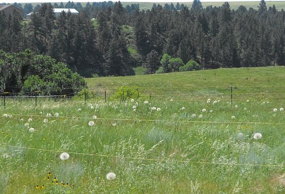 4th image of Hlousek Ln Lot 29