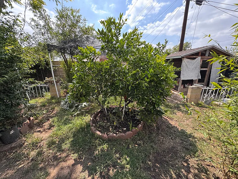7736 Ditmar Ave — Photo 24