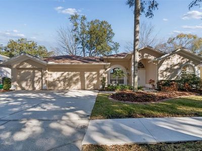 9334 Hampshire Park Dr, Tampa, FL, 33647