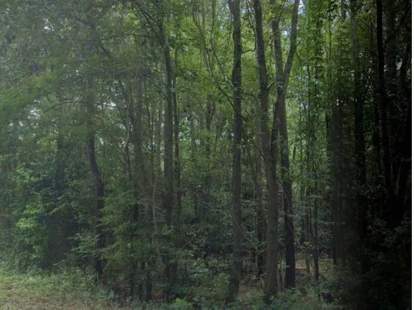 Woodberry Ln E, North Augusta, SC 29841