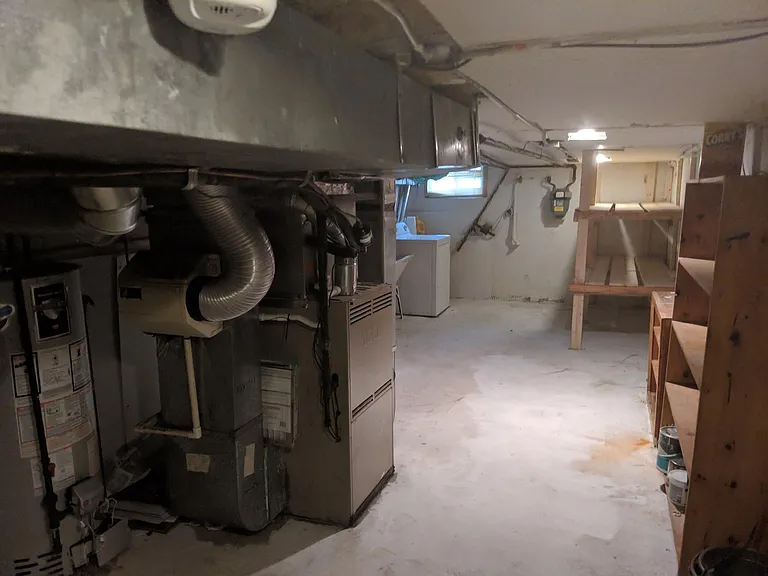 Basement with storage shelves