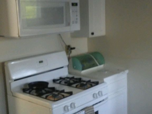 Stove and microwave