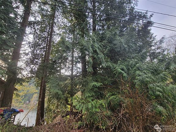 2nd image of 1805 Emerald Lake Way