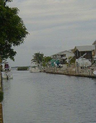 Back Deck View