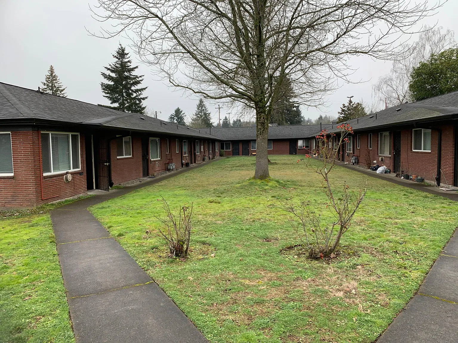 1 bed, 550 sqft, $1,275 — Photo 1