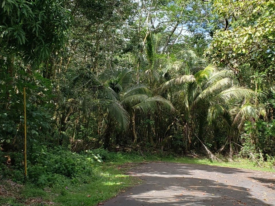 2nd image of Manalo St Lot 2