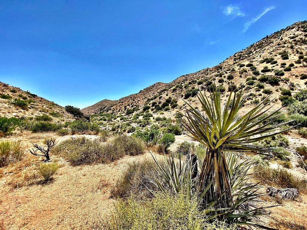 171 Water, Pioneertown, CA 92268 MLS 219106062PS Zillow