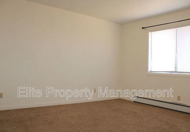 208 W Palmer Lake Dr — Photo 7