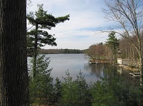 3rd image of 9249 Marguerite Ct