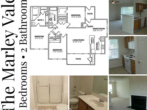 2nd image of 1101 Beaumont Centre Ln #3857939