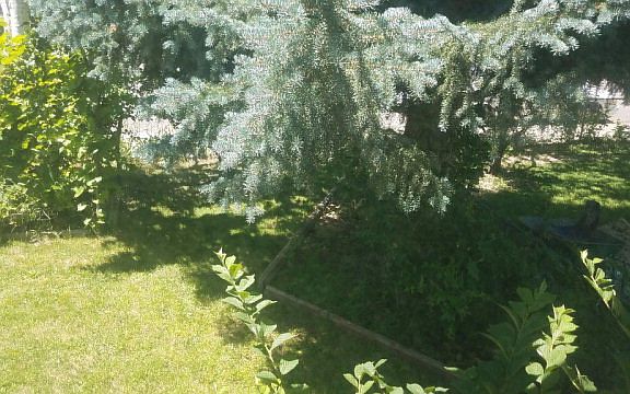 2nd image of 1090 Cassia Ave