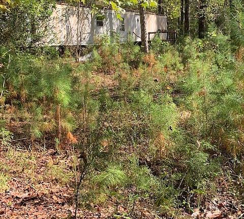 2nd image of 1555 State Highway 81