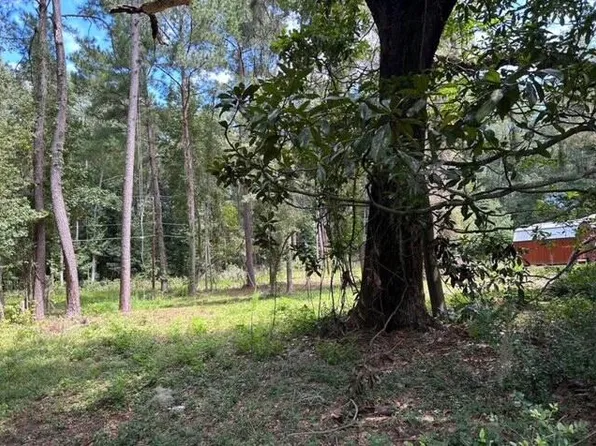 6224 Martin St, Ravenel, SC 29470