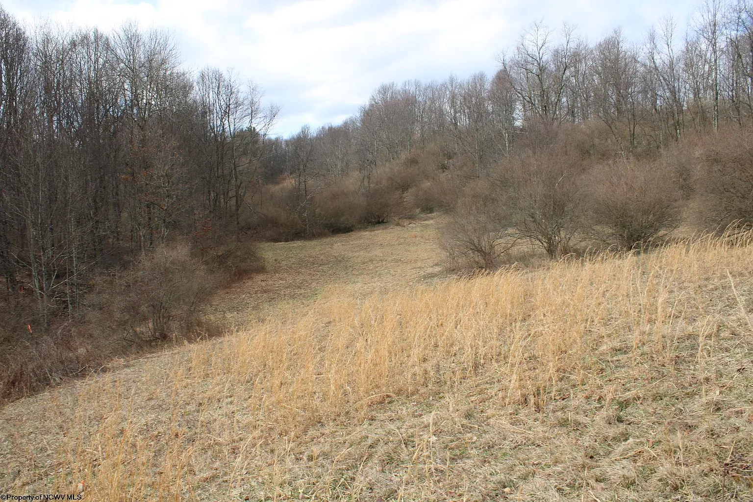 LOT 8 Cascade Rd photo 1
