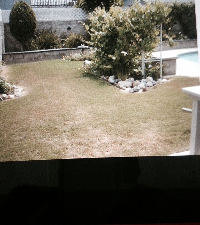 2nd image of 10517 Braverman Dr