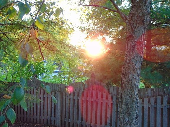 5th image of 1498 Schafer Ave