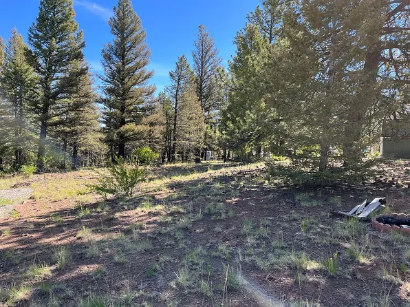 589 Lantern Loop, Hartsel, CO 80449