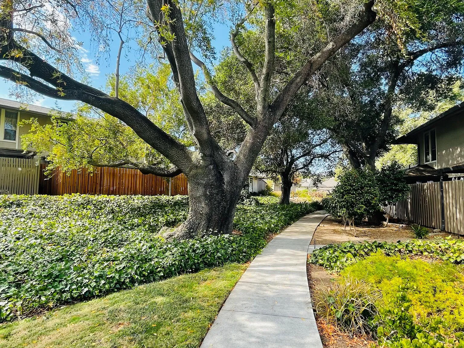 2 bed, 1.5 bath, 949 sqft, $3,390 — Photo 1