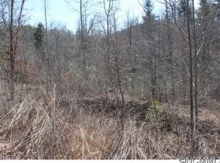 124 Clays Cv, Hendersonville, NC 28739