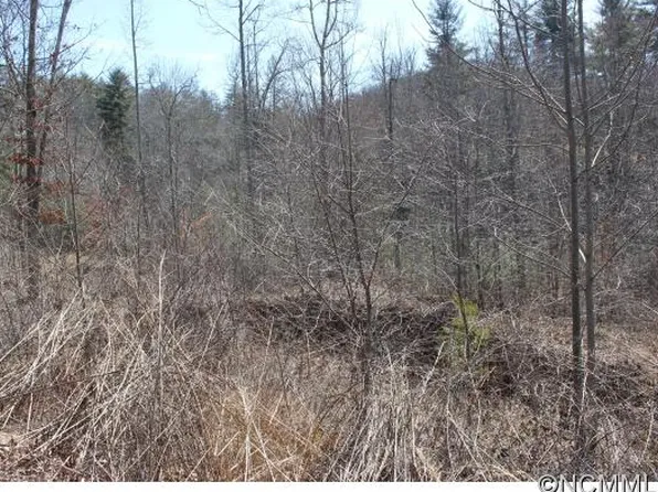 124 Clays Cv, Hendersonville, NC 28739