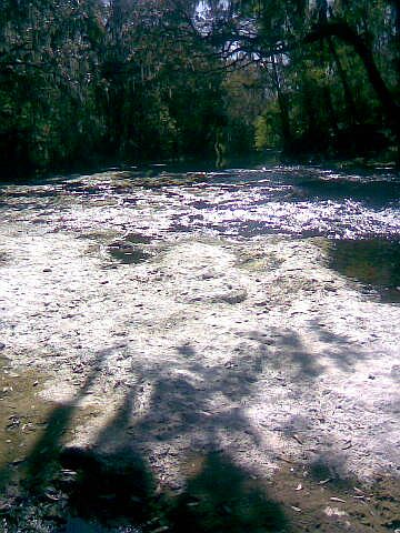 River View