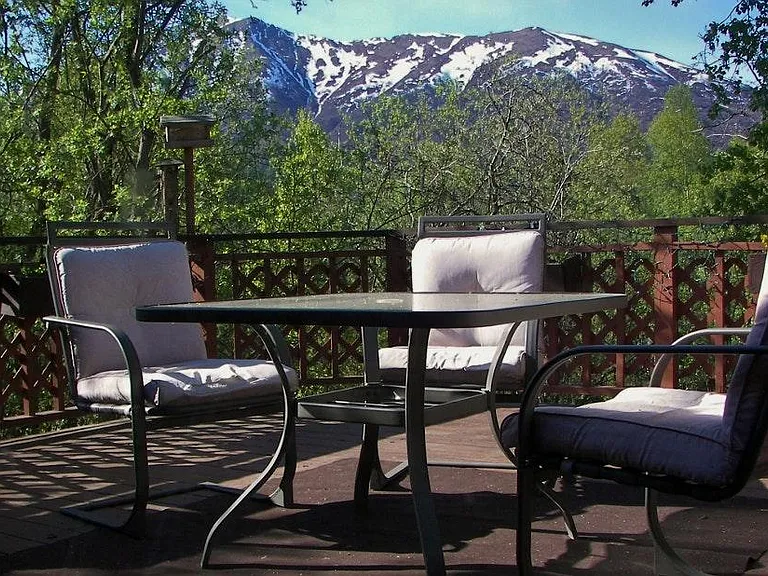 Spectacular Tree top setting