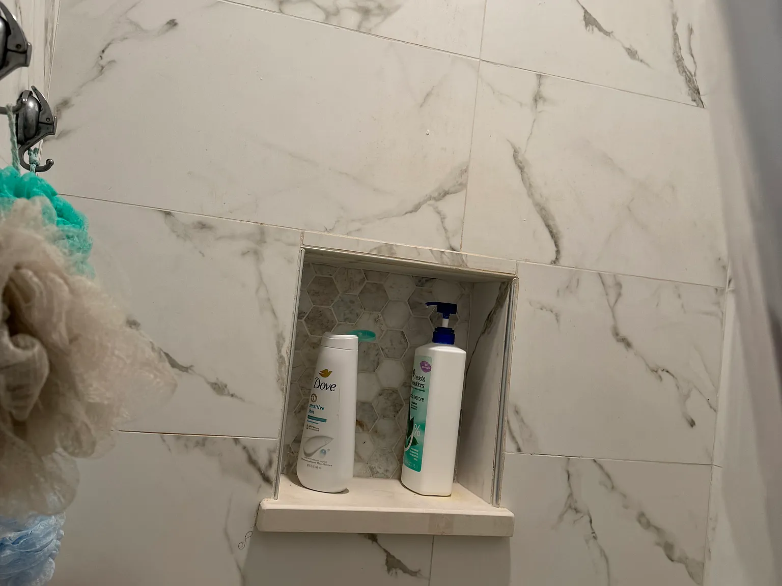 1 bed, $850 — Photo 4