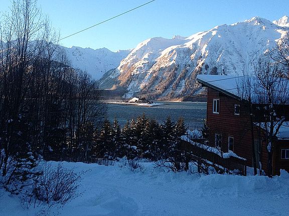 View from the bay windows