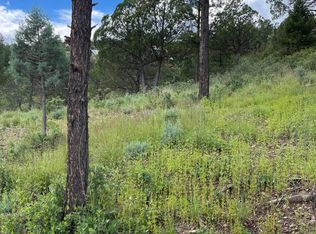 100 Ivanhoe Rd #2, Ruidoso, NM 88345