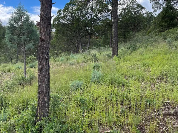 100 Ivanhoe Rd #2, Ruidoso, NM 88345