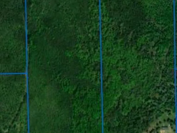 Highway 11, Birchdale, MN 56629