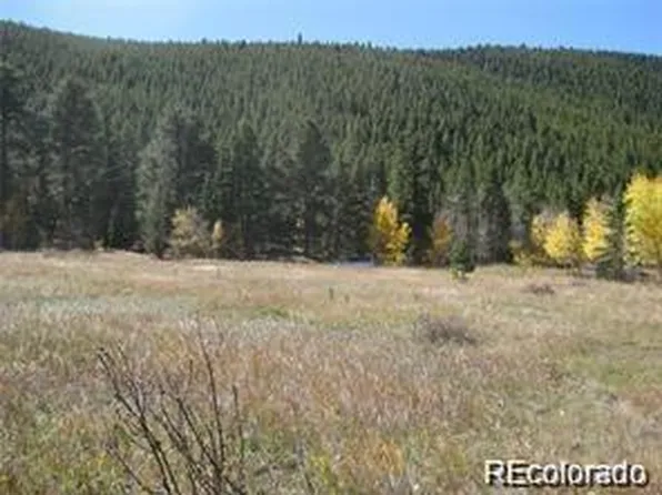 323 N Fork Road, Grant, CO 80448
