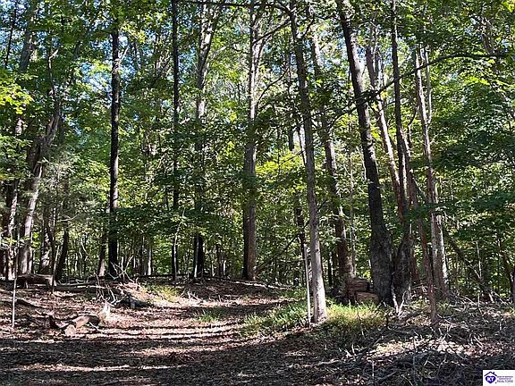 4th image of Ac Locust Grove Rd