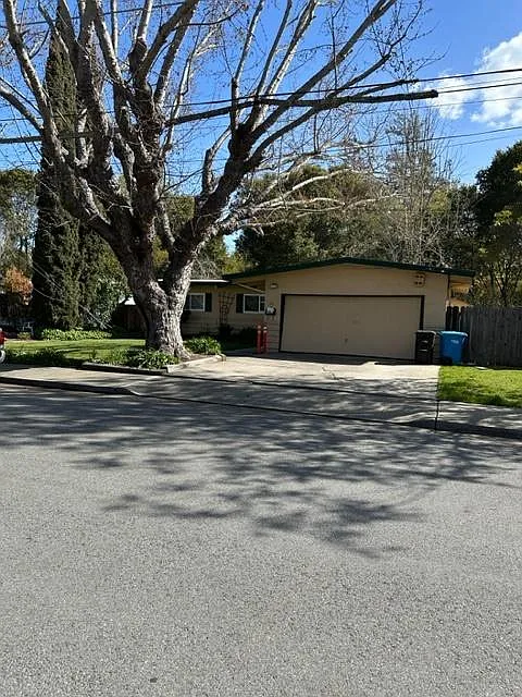 50 Callie Ln photo 1