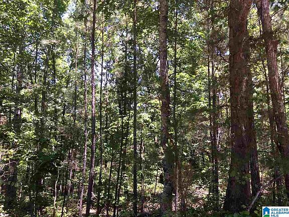 5th image of 82/ACRE S County Road 27