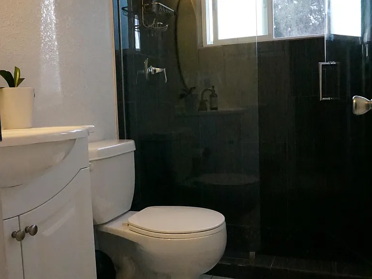 New downstairs bathroom with porcelain tile (hard to see in the shower as the photo is dark).