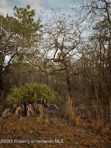 0 Macassar Rd, Brooksville, FL, 34614