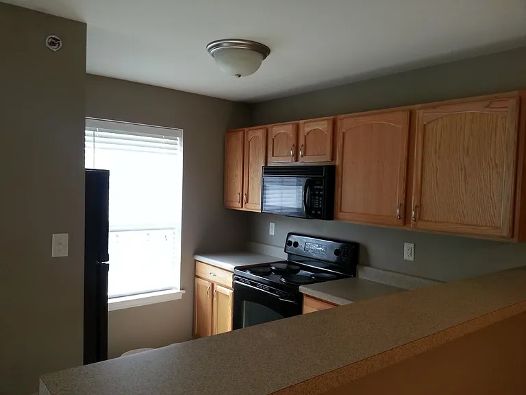 4102 Spring Creek Ln — Photo 3