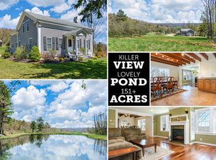 335 Jumps Rd, Oneonta, NY 13820