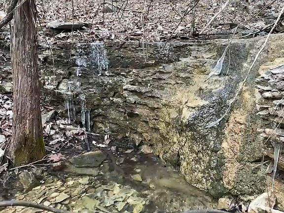 5th image of Whispering Oaks Trl