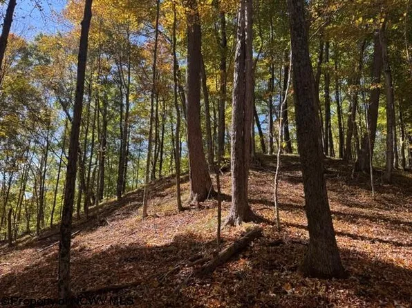 Channell Rd, Mill Creek, WV 26280