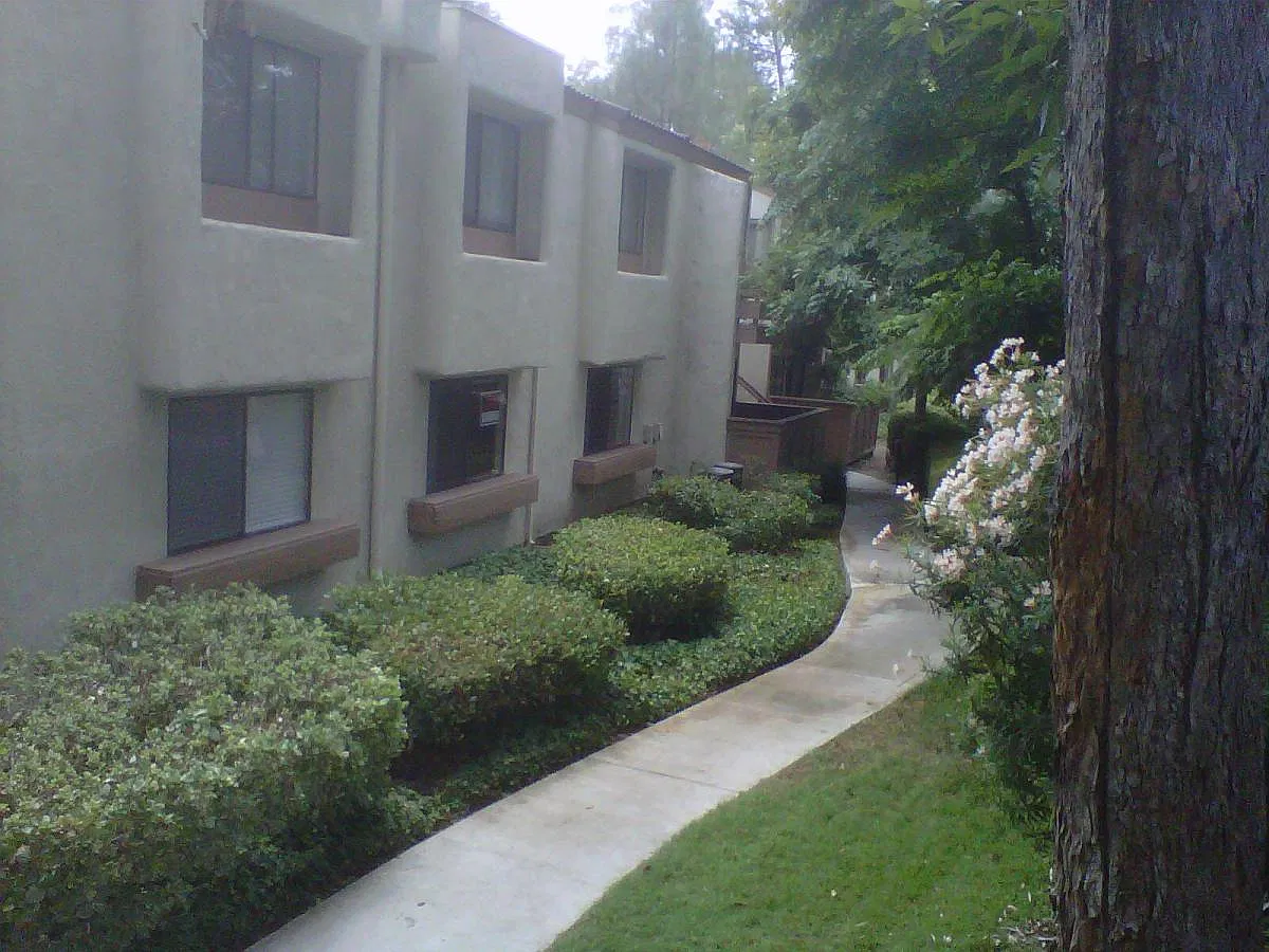 2 bed, 975 sqft, $2,600 — Photo 3