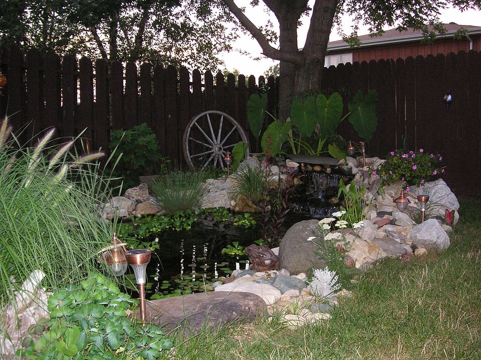 pond