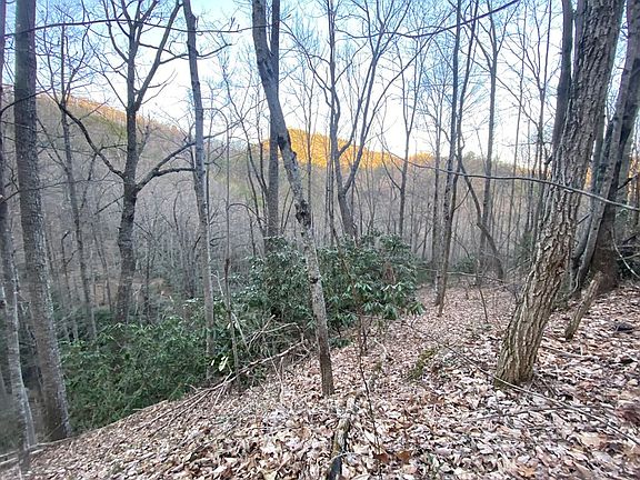3rd image of LOT 32 Beechwood Ln