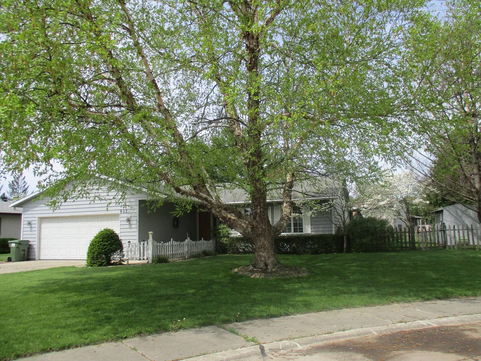 603 Raymond Ct photo 1