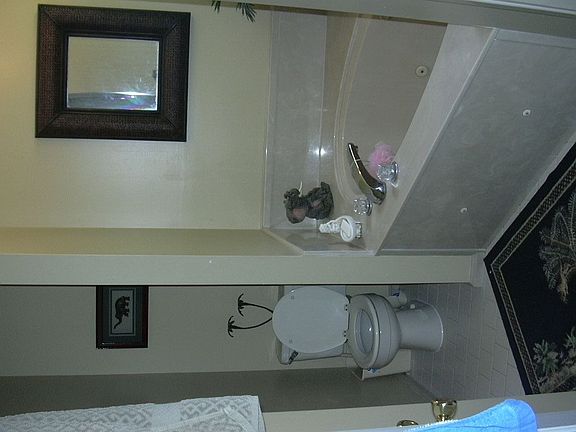 Master bath/jacuzzi tub/double vanity and sep shower